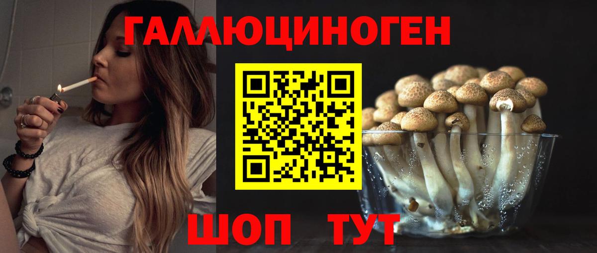 Псилоцибиновые грибы Cubensis  продажа наркотиков  Комсомольск-на-Амуре  Вход с VPN 
